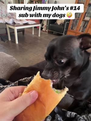 A post by @dog_and_his_boomer on TikTok caption: Sharing Jimmy John’s #14 sub with my dogs 🤪 @Jimmy John’s 🥪 