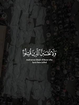 A post by @eng_himaa on TikTok caption: ولا تحسبن الذين قتلوا في سبيل اللهِ أمواتًا بل أحياء عند ربهم يرزقون🕊️🖤