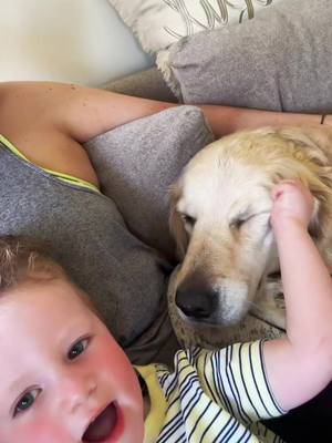 A post by @thelifeofbandcconnolly on TikTok caption: best buds always #toddlersoftiktok #puppy #MomsofTikTok #goldenretriever #bestfriend 