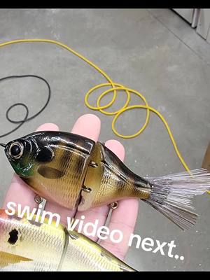 A post by @shankbaitco on TikTok caption: the OG GILL  #bluegill #fishing #Summer #handmade #ocean #zoo #fish #swimbait 