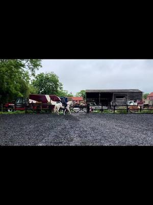 A post by @42performancehorses on TikTok