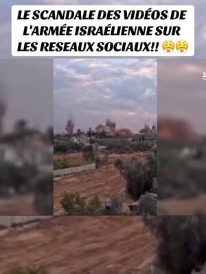 A post by @docchronicle on TikTok caption: LE #scandale DES #vidéos DE L'ARMÉE ISRAÉLIENNE SUR LES RESEAUX SOCIAUX. #palestine #israel #pourtoi #foryou 