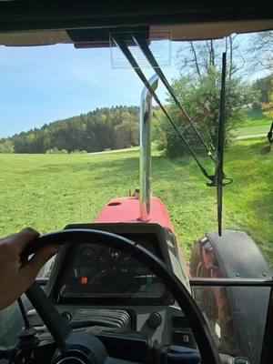 A post by @dachrisv8 on TikTok caption: @alex_mf_390t #farming 