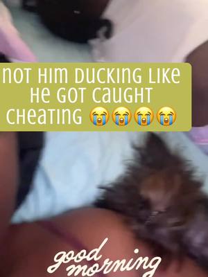 A post by @kiaramercadis on TikTok caption: 🗣️ JUST LIKE A 🥷🏾!! 😭🤣💀💀 this dog so funny!!