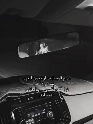 A post by @i1ebr on TikTok caption: توفيق 🖤.                                               #اكسبلورexplore #صقور #صالح_ال_مانعه #الشتاء #foryou 