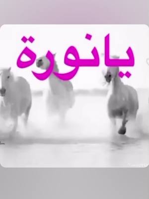 A post by @lsbe11c on TikTok