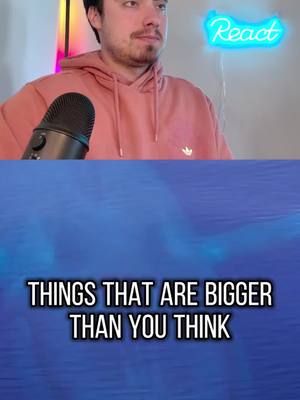 A post by @trevorreacts on TikTok caption: That thing is actually huge!