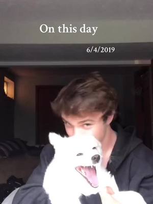 A post by @tristtonccurry on TikTok caption: One of my most seen tik toks was made 4 years ago today. #onthisday #dogsoftiktok 