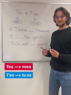 A post by @francaiscommejamais on TikTok caption: Learn French 🤝🇫🇷 #learnfrench #french #francais #france 