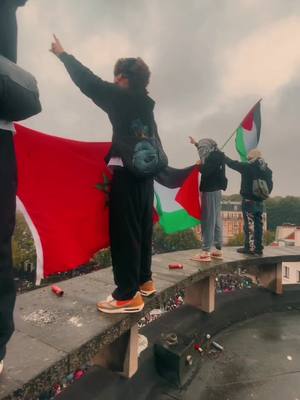 A post by @lameloj11 on TikTok caption: Free palestine ❤️🙏🏾🇵🇸#freepalestine #feranjire 