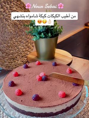 A post by @nour.sebai on TikTok caption: #كيكة_شامواه #كيكة_لذيذة #كيكة_شامواه😋 #كيكات  #بتشهي_القلب_وشكل_روعة😋😋😋 #مطبخ_نور🌸 #نور_سباعي🌸 #explore #fypシ゚viral #متابعة_قلب_تعليق_مشاركة #اعادة_النشر🔃 #foryoupage #fypシ゚ #دعمكم_ورفعولي_فديو #دعمكم_لكي_استمر😘 #محظورة_مشاهدات #محظور_من_الاكسبلور🥺 #النرويج #السويد #المانيا #هولندا #امريكا #السعودية #العراق #فلسطين #الاردن #تركيا 