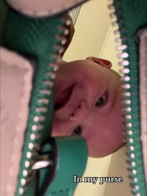 A post by @una_laguna on TikTok caption: Showing my baby things he's never seen before! Part 11 😮 theres so much to see when you've only been alive for 6 months! #fypage #babytok #babyboy #sahm #firsttimemom #parenting #babytiktok 