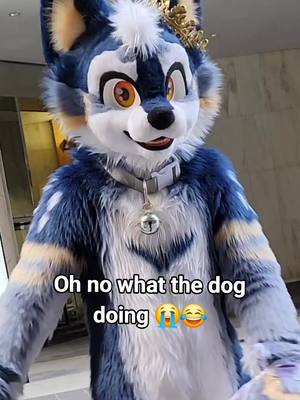 A post by @kingnightzy on TikTok caption: not the jojo #furry #fursuit #karma #furryfandom #fursuiter 