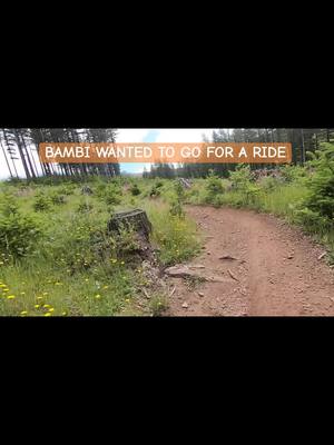 A post by @montana_btx on TikTok caption: #rideforlife #fypシ゚viral #bambi #dirtscooter #fyp #CapCut 