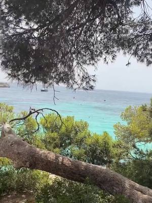 A post by @amaziigh__girl on TikTok caption: #mallorca #spain🇪🇸 #palma #flypシ #tamazight #chleuh #tachlhit #امازيغية 