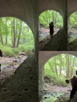 A post by @downdresserband on TikTok caption: trumpet harmonies in the tunnel for today