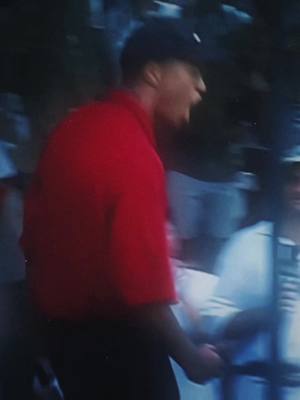 A post by @boxing_quality on TikTok caption: Clutch recovery by tiger#sports #viral #cold #athlete #tigerwoods #golf #USOpen 