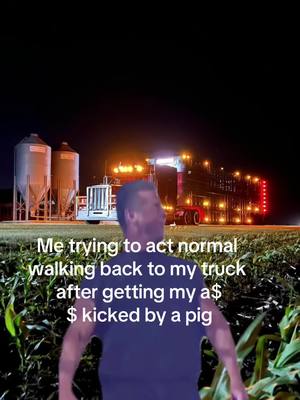 A post by @samualsullivan2 on TikTok caption: #CapCut true story#peterbilt #pighaulin 