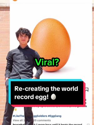 A post by @superduck_300 on TikTok caption: I recreated this guinness world record egg photo! 🥚 (challenge) This was a extremely hilarious challenge! This photo is one of most liked photo on social media! #challenge #guinnessworldrecords #worldrecord #funny 