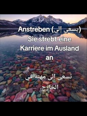 A post by @alfrijdo on TikTok caption: #سويسرا🇨🇭 #النمسا🇦🇹 #المانيا #الشعب_الصيني_ماله_حل😂😂 #لوكسمبورغ🇱🇺 #تعلم_على_التيك_توك #اللغه_الالمانيه #ترند 