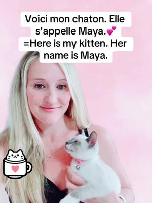 A post by @learn_french_teacher on TikTok caption: Learn to speak french! #learnfrench #catsoftiktok #learnenglish #studyfrench #frenchlesson #kittensoftiktok #siamesekitten #siamesecat #learnsomethingnew #learningfrench #siamese 