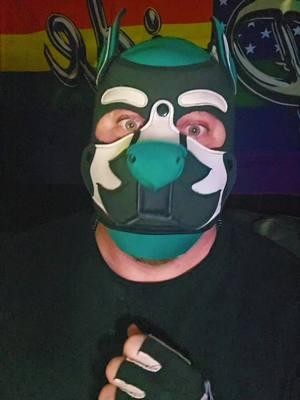 A post by @pup_emral on TikTok caption: #humanpup #puptok #packtigger #fypage #humanpuppy #lgbtq #gay 