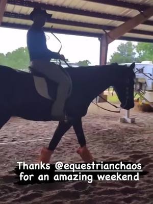 A post by @international_sensei on TikTok caption: #horse #training #actor 