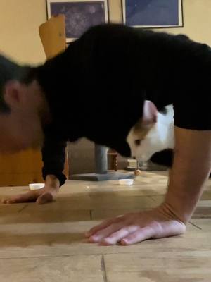 A post by @fauxkeanu on TikTok caption: 50 basic push-ups, but sped up. I know they’re not all perfect in form. I was just unwinding after a long work day. With special guest Mayday #fitness #pushups #cats 