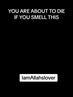 A post by @iamallahslover on TikTok caption: #muslimtiktoks #islamic_video #viral #fypage #iamallahslover #muslimah #dawah #islamicgiftsforyou #deenoverdunya #islamicvideo 