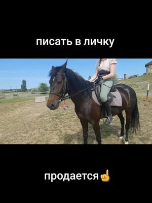 A post by @alexanderchervyako6 on TikTok