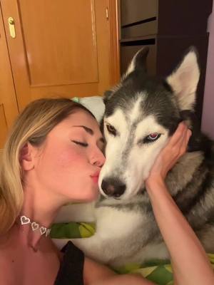 A post by @lucia_almaz on TikTok caption: Amor del bueno #husky 