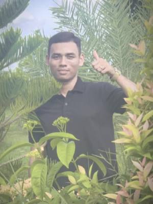 A post by @somratanak69 on TikTok caption: 🌲🌳❣️#TikTok #CapCut 