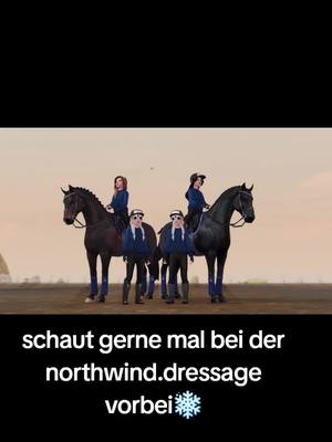 A post by @its.kris.duskdragon on TikTok caption: die norwind dressage ist ein Dressur und springteam auf dem 5. Deutschen server Clody rock schaut gerne vorbei Northwind.Dressage