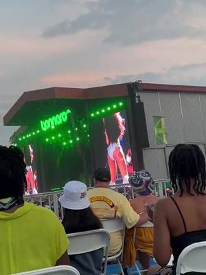 A post by @thisboyjt on TikTok caption: Blessing your feed with some #megantheestallion #bonnaroo  @Megan Thee Stallion 