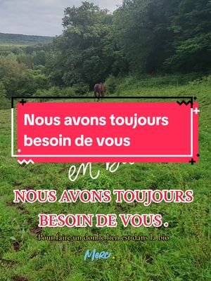 A post by @refuge.cheval.nature.47 on TikTok caption: Il nous reste 9 chevaux, contacter directement par WhatsApp ou par téléphone en cherchant la localisation du refuge sur internet ou cliquez sur le lien dans la bio. 