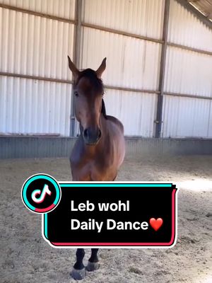 A post by @lindaostrowski on TikTok caption: Auf insta läuft grade eine Fragerunde zu Dailys verkauf😔❤️ insta: lo.dailydance 