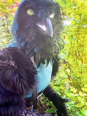 A post by @broodmothersnest on TikTok caption: Winnie says hello!! #cosplay #kenku #dungeonsanddragons #dndtiktok #crow #raven #costume 