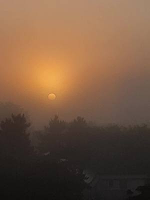 A post by @islamaveczaid on TikTok caption: La vue depuis ma fenêtre ce matin 🤩🌄. . #islamaveczaid #leverdusoleil #soleil #paysage #mashallah 