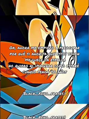 A post by @black_xeno_frases.1 on TikTok caption: #black_xeno_frases #gokublackxeno #gokublackfrases #dragonball #dragonballsuper #gokublack #edit #viral #viraltiktok #parati 