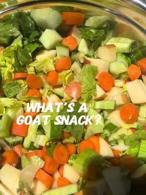 A post by @notsowildanimals on TikTok caption: What’s a goat snack? #goatsoftiktok #goatsnack #goats #goatsimulator #myfarm 