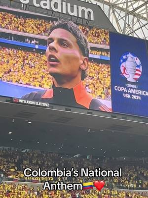 A post by @maryyguzmaan on TikTok caption: Gave me Goosebumps!!🥺🇨🇴 @FCFseleccioncolombia  #houstontx #colombia #fyp #fypage #copaamerica #fypシ゚viral 