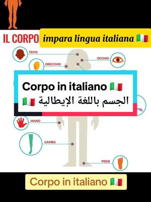 A post by @abueline88 on TikTok caption: #CapCut impara lingua italiana 🇮🇹 تعلم اللغة الإيطالية  Corpo in italiano الجسم باللغة الإيطالية  #corpo #italiano #linguaitaliana #لغة_ايطالية #تعلم_اللغة_الايطالية #imparare #learnitalian #italianlanguage #foryoupage #imparacontiktok #concerto 