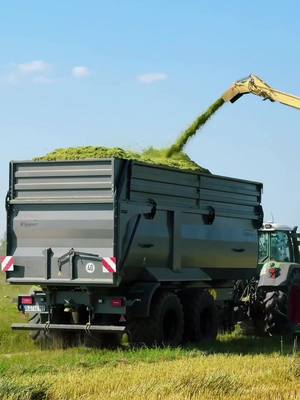 A post by @alinas.landleben on TikTok caption: • Erster Einsatz im GPS! Ich lieb Se einfach 🩶🩶 @Krampe Fahrzeugbau GmbH #fendt #krone #gps #gpshäckseln #krampe #krampefahrzeugbau #fy #fyp #viral #landwirtschaft #farmlife #foryou 