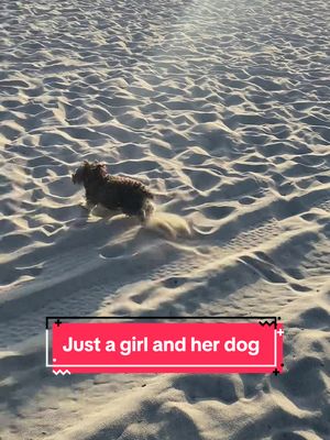 A post by @littlejoydale on TikTok caption: Just a girl and her dog having a moment 🥹🥹🥹 #venicebeach #losangeles #beach #dogsoftiktok 