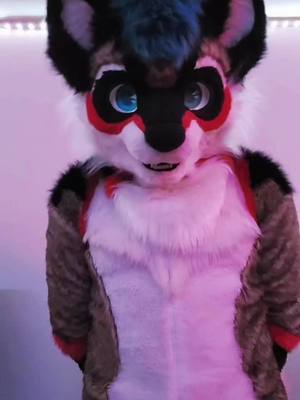 A post by @gazoonraccoon on TikTok caption: a little version of me just for you! #furry #fursuiter #raccoon #fursuit #fursona 