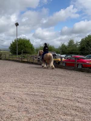 A post by @equinecaitlinn on TikTok caption: managed to get a ride on cash today😍absolutely love him!❤️thankyou @Hallie Dean 🫶🏻🫶🏻🫶🏻been waiting a long time🥰#horse #horsesoftiktok #palomino #fyp #foryou #cash 