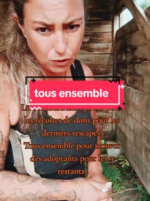 A post by @refuge.cheval.nature.47 on TikTok caption: Tous ensemble pour nos derniers rescapés. @🦓Le.Domaine.de.Rivalet 🌟🧿 ##tiktok #soutien #tousensembles #foryou #pourtoi #live 