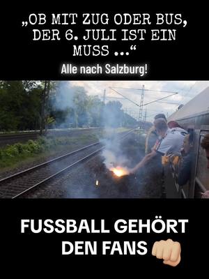 A post by @fsv.zwickau.official on TikTok caption: #FGDF #FUSSBALLGEHÖRTDENFANS #AUSTRIA #SALZBURG 