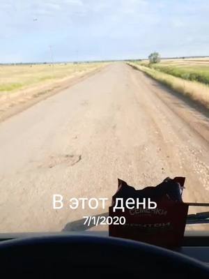 A post by @hikolai.ru_161 on TikTok caption: #ВэтотДень 