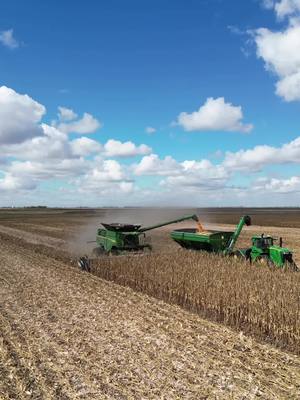 A post by @samualsullivan2 on TikTok caption: Anyone elses tictok been dead af lately fall cant come soon enough.#johndeere #farmtok  #bto  #farming #x9 